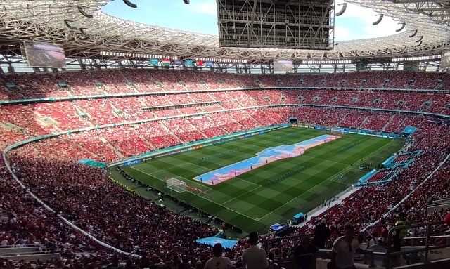 有国际实力 有国际实力