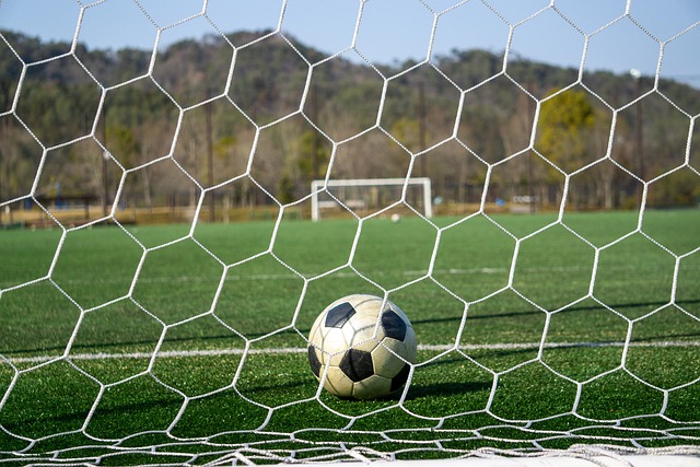 的提议旨在 的提议旨在