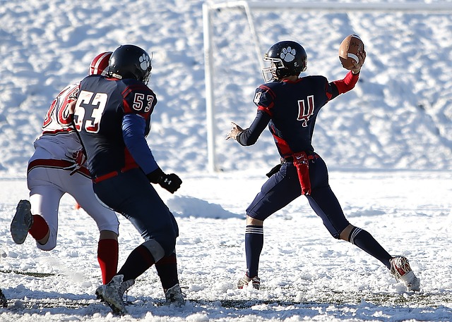 在去年西班 在去年西班