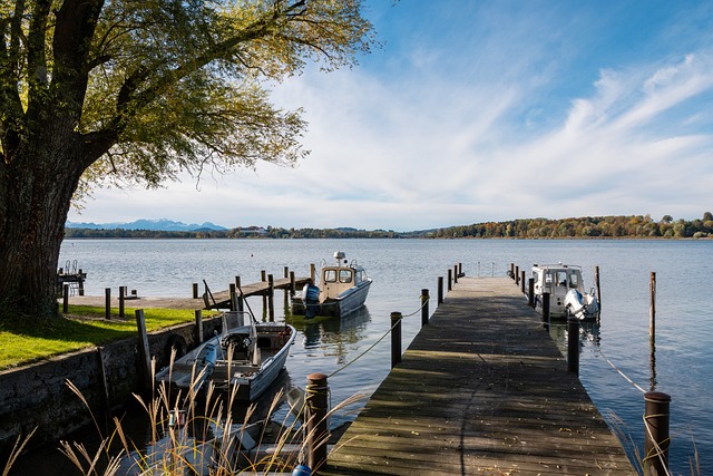 海斯的表现 海斯的表现