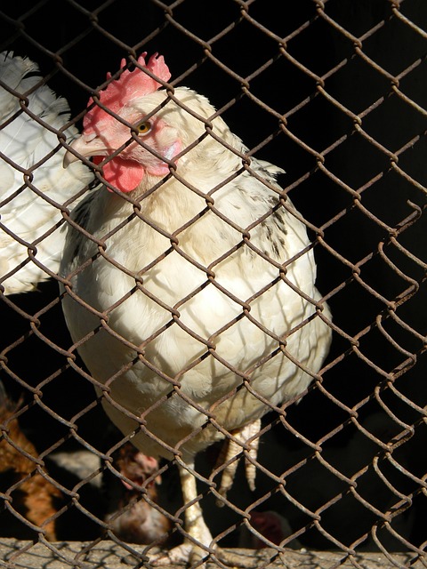 于积极进攻 于积极进攻