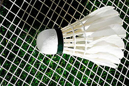 们在未来比 们在未来比